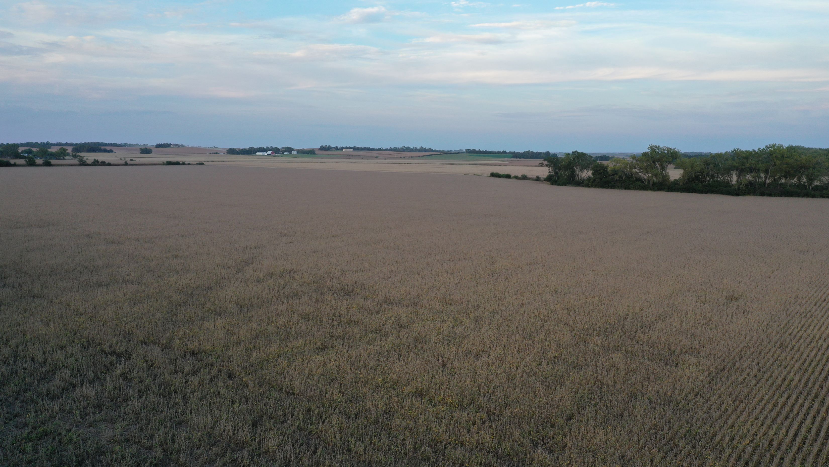 Listing Photo: Burg Farm Looking NE